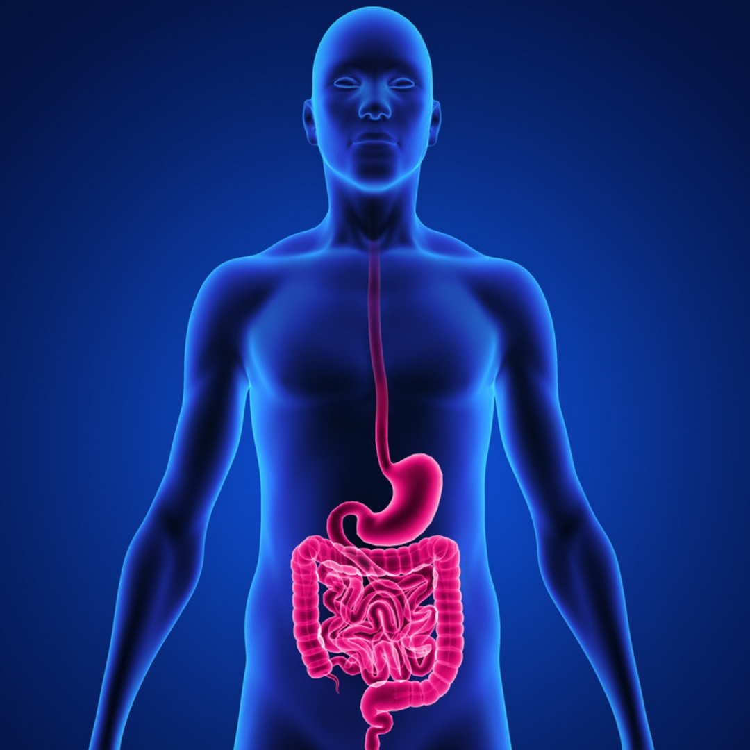 You are currently viewing Five tips for digestive health