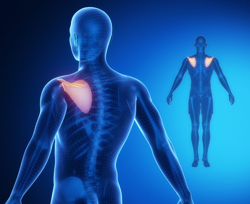 You are currently viewing Injury blog: Winging of the shoulder blades