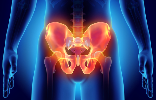 You are currently viewing The Pelvis: How Well Do You Know It?