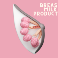 Lactation and Breast Milk Production: Understanding the Process